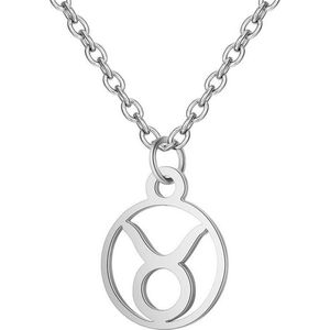 24/7 Jewelry Collection Stier Ketting - Cirkel - Sterrenbeeld - Horoscoop - Zilverkleurig