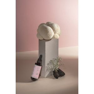 444 mushroom blend tincture 50ML - Mind - Body - Spirit - Organic