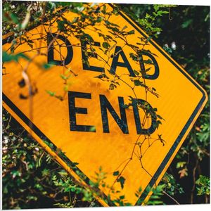 Forex - ''Dead End'' Bord - 80x80cm Foto op Forex