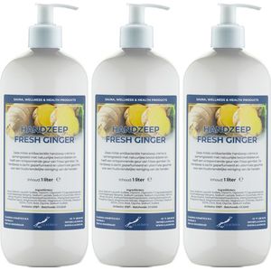 Handzeep Fresh Ginger 1 liter - set van 3 stuks - met gratis pomp - Voordeelverpakking