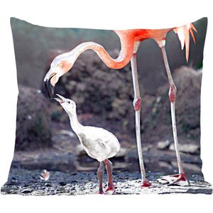 Sierkussens - Kussen - Moeder flamingo voedt haar baby - 60x60 cm - Kussen van katoen