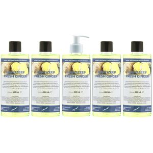 Handzeep Fresh Ginger 500 ml - set van 5 stuks - met gratis pomp - Voordeelverpakking