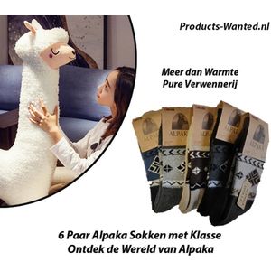 Alpaka Sokken - 6 Paar - Maat 43-47 - Antibacterieel en Temperatuurregulerend