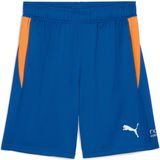 Puma - Individual Training - Korte Broek - Zwart