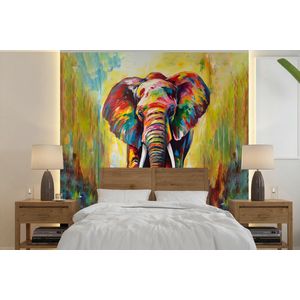 Olifant - Kunst - Schilderij - Dieren - Regenboog