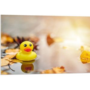 PVC Schuimplaat- Badeendje Dobberend in Regenplas en Herfstbladeren - 90x60 cm Foto op PVC Schuimplaat