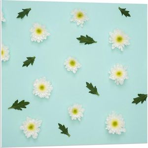 Forex - Witte Losse Bloemetjes met Groene Bladeren - 80x80cm Foto op Forex