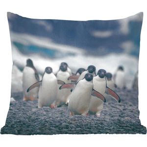 Sierkussen - Adelie Pinguïns Op Het Strand - Blauw - 60 Cm X 60 Cm