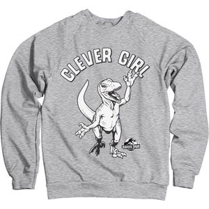 Jurassic Park Clever Girl Sweatshirt Heather-Grey-S