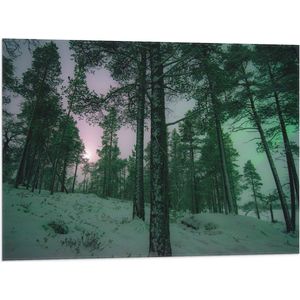 WallClassics - Vlag - Het Noorderlicht door Bomen heen in Noorwegen - 80x60 cm Foto op Polyester Vlag