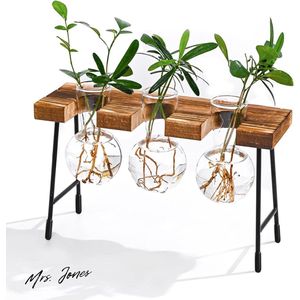 Mrs. Jones Hangende Reageerbuis Vaas Hydrocultuur Tafelvaas Luchtplanten Terrarium Bureau Decoratie Houten Houder Glazen Planten Kantoor Huis Tuin 3 Vazen .
