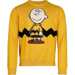 Peanuts Charlie Brown Heren Christmas jumper - meerkleurig - S