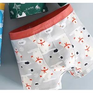 Kinderondergoed 4 jongens onderbroek maat 98/104