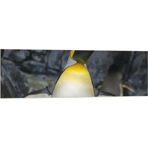 Vlag - Pingïun met Spitse Snavel en Neon Gele Contouren - 120x40 cm Foto op Polyester Vlag