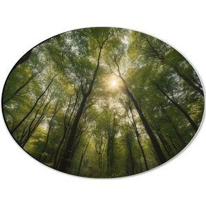 Dibond Ovaal - Bomen - Bos - Zon - Groen - 40x30 cm Foto op Ovaal (Met Ophangsysteem)