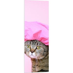 PVC Schuimplaat - Bruine Kat met Roze Badmuts tegen Roze Achtergrond - 40x120 cm Foto op PVC Schuimplaat (Met Ophangsysteem)