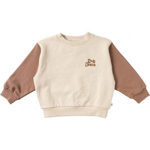 Your Wishes Preston Truien & Vesten Jongens - Sweater - Hoodie - Vest- Beige - Maat 116