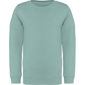Native Spirit Ecologische kindersweater met ronde hals NS403 - Jade Green - 10/12 years (10/12 ans)