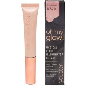 Youstar Oh My Glow Highlight Blush 02