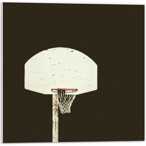 Forex - Basketbalpaal - 50x50cm Foto op Forex