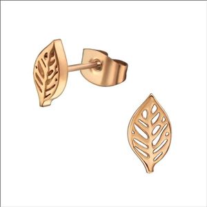 Aramat Jewels Oorbellen - Zilverkleurige blad oorbellen Ø10 mm - Roestvrij staal - Mannen - Kinderen - [10mm]