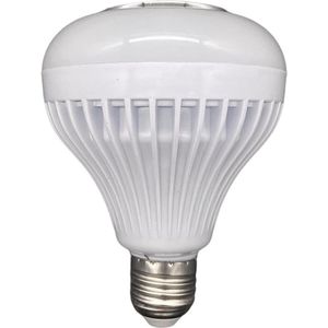 RGB-wissellamp met Bluetooth-luidspreker en Draadloze Stereo-audio - Muzieklamp 12W