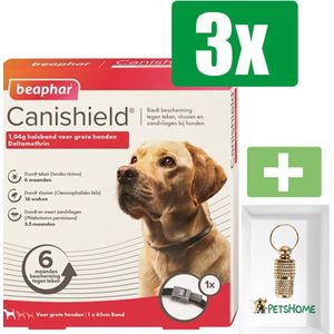Beaphar Canishield Anti Vlooien en Tekenband Hond L 65 cm - 3 Stuks - Inclusief PetsHome Goudkleurige Adreskoker