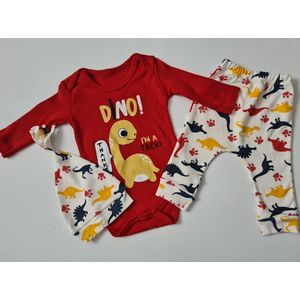 3 delige Baby kleding set - meisje jongen kleding - set - rompers - muts - broekje - maat 68/74 dino - baby girl