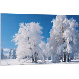 Vlag - Bomen - Sneeuw - Blauw - Wit - 105x70 cm Foto op Polyester Vlag
