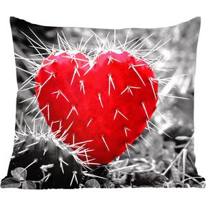 Sierkussens - Kussentjes Woonkamer - 60x60 cm - Zwart-wit foto met een rode hartvormige cactus