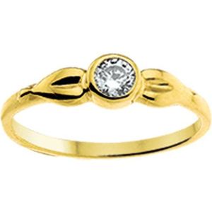 Ring Zirkonia
