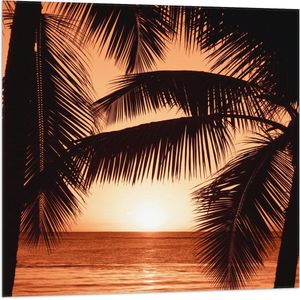 Vlag - Bomen - Palmbomen - Zee - Zonsondergang - Oranje - 80x80 cm Foto op Polyester Vlag