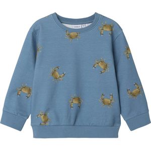 Name It mini jongens trui FERNAN Spring Lake Regular Fit