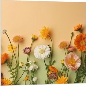 PVC Schuimplaat- Oranje met Witte Bloemen op Oranje Achtergrond - 80x80 cm Foto op PVC Schuimplaat