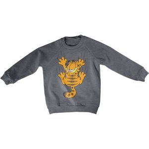 Garfield Kinder Hanging On Kids Sweatshirt VIA-31-GAR004-H89-2 DarkHeather-XS