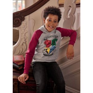 Pullover, sweater Harry Potter Hogwarts emblemen hooded maat 12-14 jaar