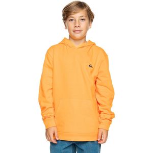 Quiksilver Basic Hoodie Oranje 16 Years Jongen