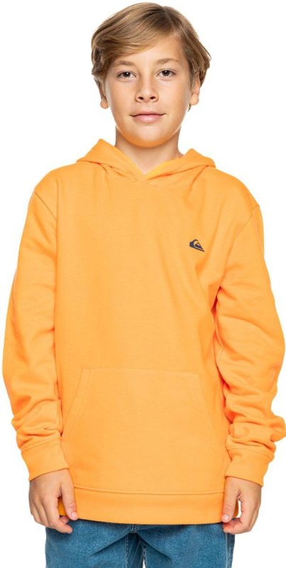 Quiksilver Basic Hoodie Oranje 16 Years Jongen