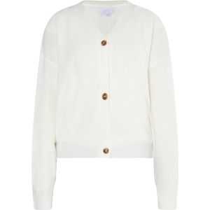 usha - WHITE LABEL - Gebreid Vest - Vesten