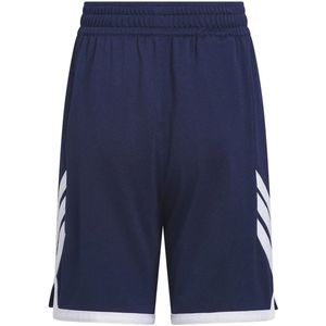 Adidas Basketball 3g Speed Reversible Junior Shorts Blauw 13-14 Years Jongens,Meisjes