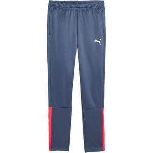 Puma teamliga training pants jr in de kleur blauw.
