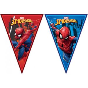 Spiderman vlaggenlijn - Spiderman verjaardag - Rood Blauw - Kinder verjaardag - Verjaardag decoratie - Marvel