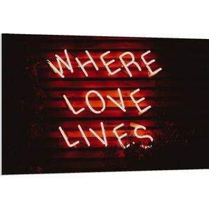 Forex - ''Where Loves Lives'' Rode Neonletters - 120x80cm Foto op Forex