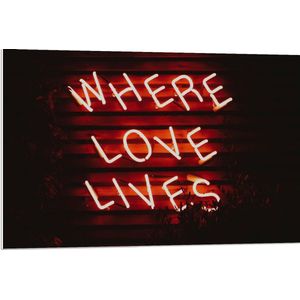 Forex - ''Where Loves Lives'' Rode Neonletters - 90x60cm Foto op Forex