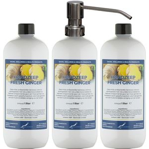Handzeep Fresh Ginger 1 liter - set van 3 stuks - met gratis RVS zilverkleurige pomp - Voordeelverpakking