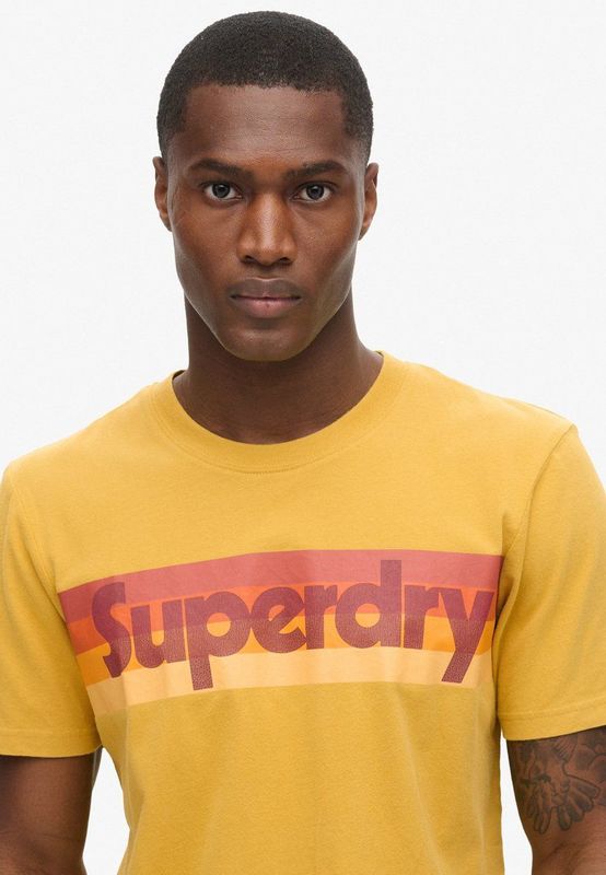 Superdry Retro Stripe Logo T-shirt Met Korte Mouwen