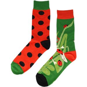 Sokken Katoen - Lieveheersbeestjes Print - Rood Groen - Maat 38-45