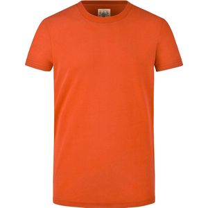 Men's t-shirt james nicholson vintage shirt