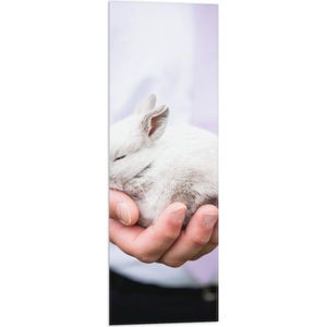 Vlag - Grijs Babykonijntje in Handpalm van Man - 30x90 cm Foto op Polyester Vlag