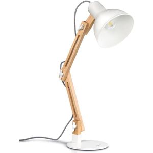 ApexArte® Daglichtlamp Schilderen - Staand - Wit